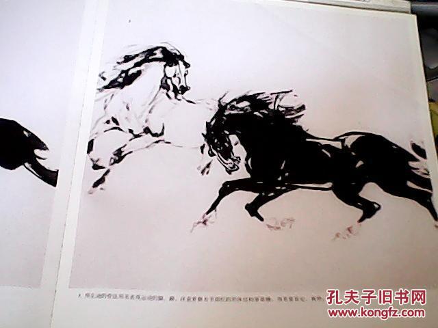 案头画范 · 中国画技法丛书---许勇画马
