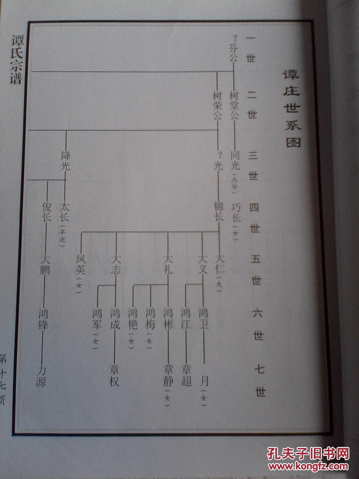 家谱----谭氏宗谱【七龄堂】盐城建湖支 16开 90页 2010年版 复印本
