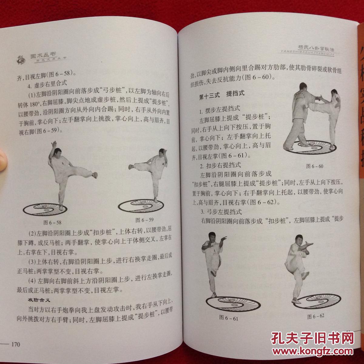 杨氏八卦掌秘法杨氏八卦掌十六式少林实战秘技杨维博士经典武学专著3