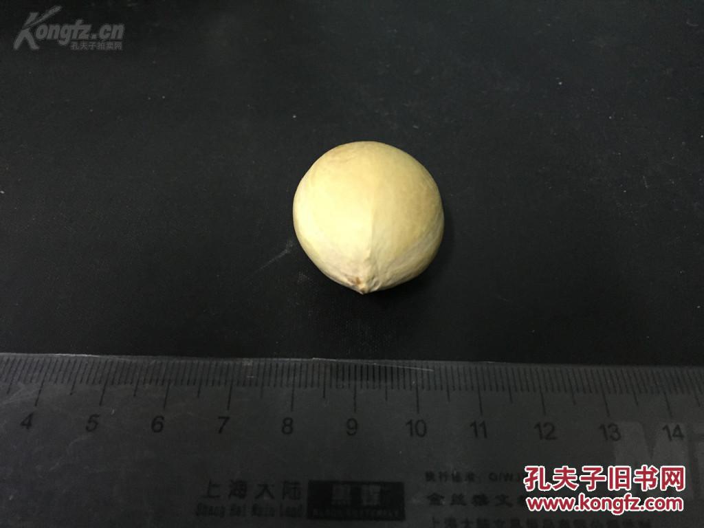 稀罕的大尺寸铁树籽2,世上没有人玩的东西,你是第一个玩的人,尺寸:3.