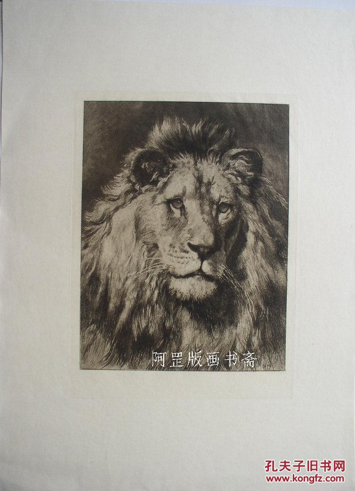 铜版画英国早期酸刻铜版画雄狮19世纪末动物画家早期铜版画
