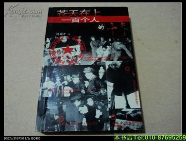 一百个人的十年