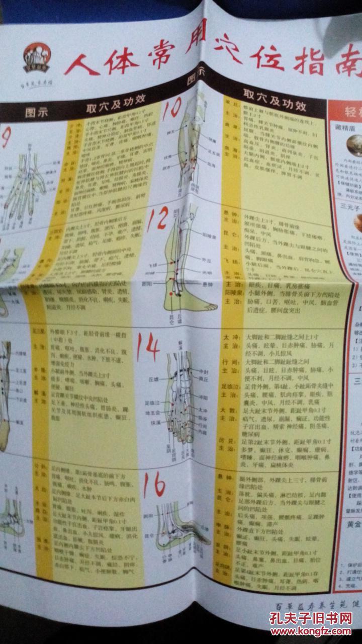 人体常用穴位指南【有现货请放心订购】