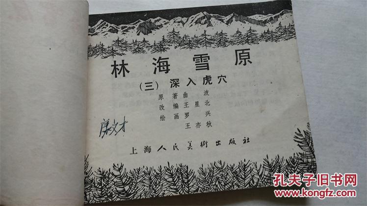 连环画-小人书:林海雪原(3)深入虎穴 1978年2版多印 绘画.王亦秋.
