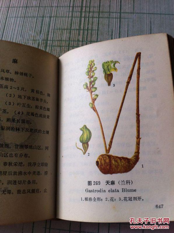北方常用中草药手册