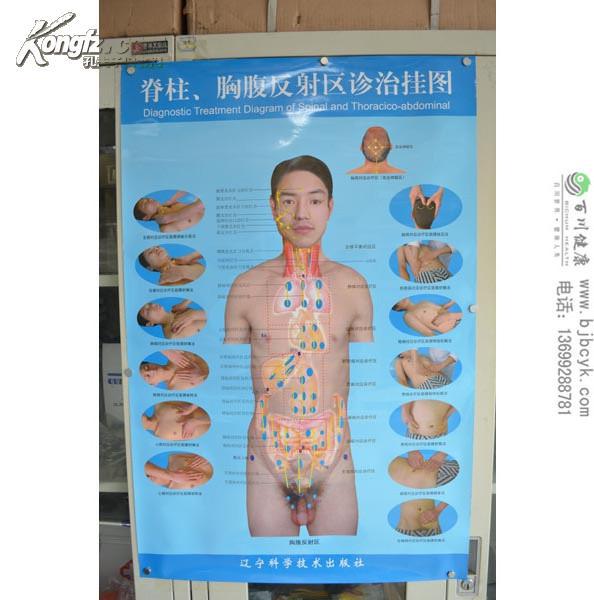 脊柱,胸腹反射区诊治挂图(套装共3张)