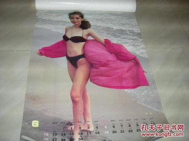 1994年明星挂历 全年十三张 [南海情]刘旭凌 瞿颖 辛颖 柳荻 茅海童
