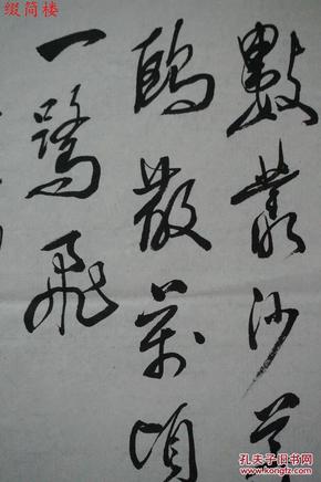 万丛什么成语_鸡丛菌长什么样子(3)