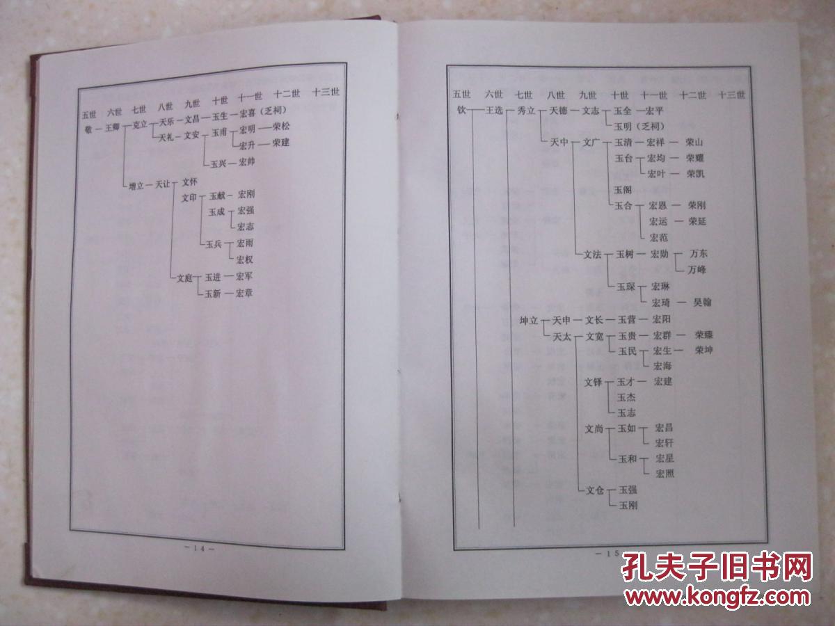 宋氏族谱(首卷,河南省方城县广阳镇杜岗村一带.