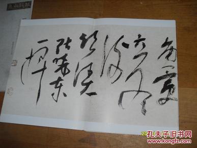 (张晓东草书册页)(一蓑烟雨任平生)2册和售.