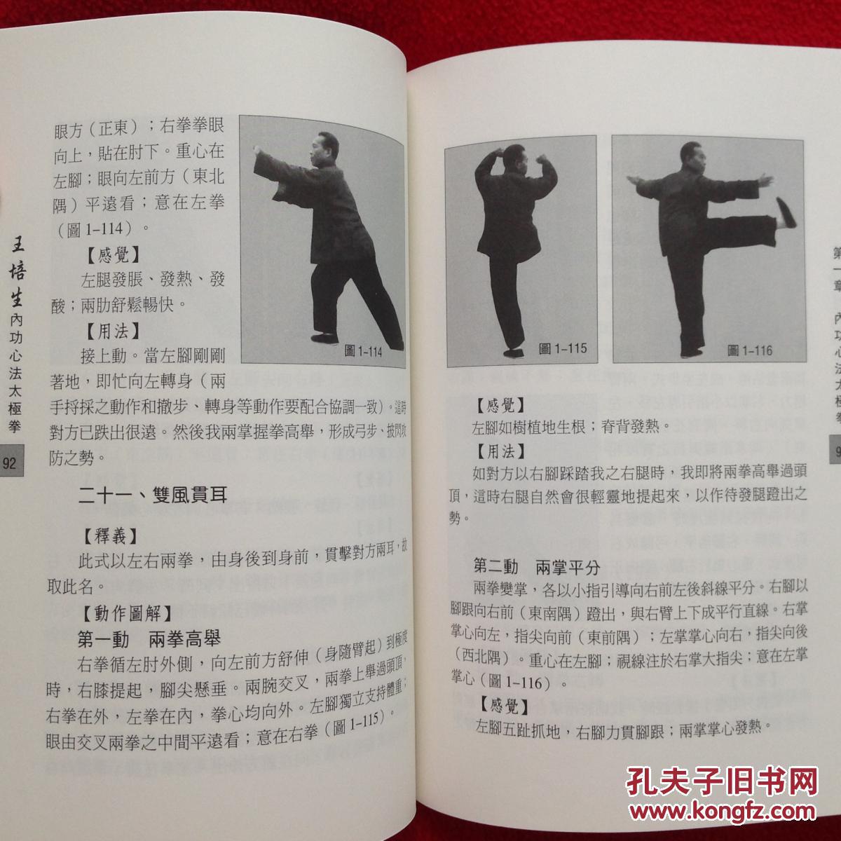 王培生内功心法太极拳(附盘)