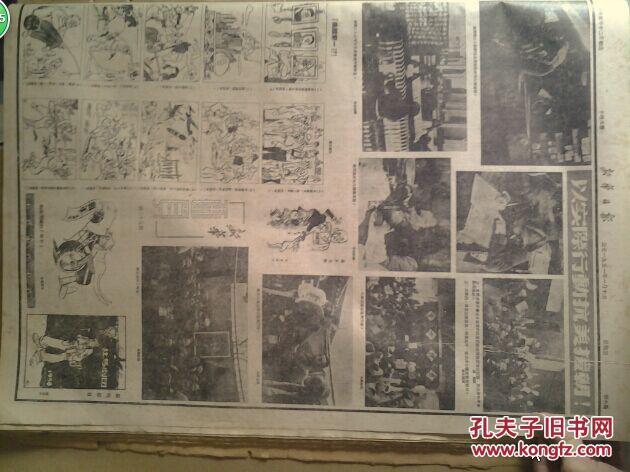 新疆发现橡胶草.特务李君英混入民革反革命罪行罄竹难