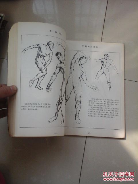 人体素描_安德鲁 路米斯_孔夫子旧书网