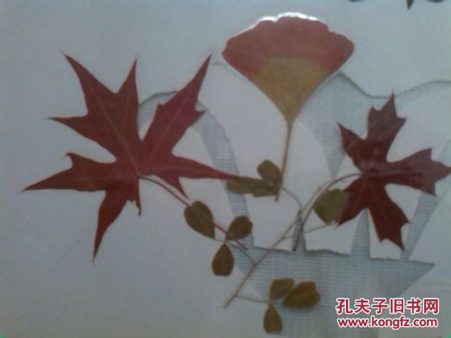 红叶蝴蝶标本塑封画