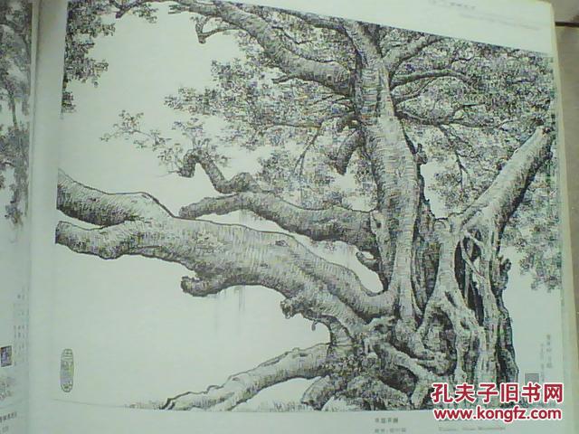 深圳古树风采:徐渊钢笔画写生