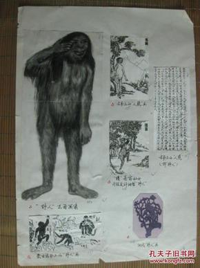 野人科考资料系列:老像片:历史上的野人画像[相片五张