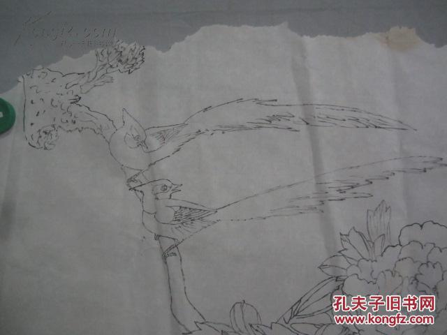 牡丹寿带鸟图 素描国画一幅 尺寸51/35厘米