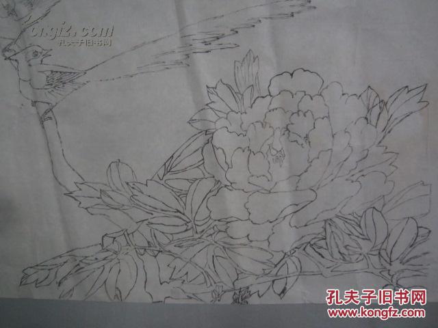 牡丹寿带鸟图 素描国画一幅 尺寸51/35厘米