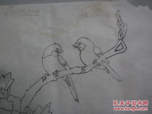 牡丹双鸟图 素描国画一幅 尺寸51/35厘米.