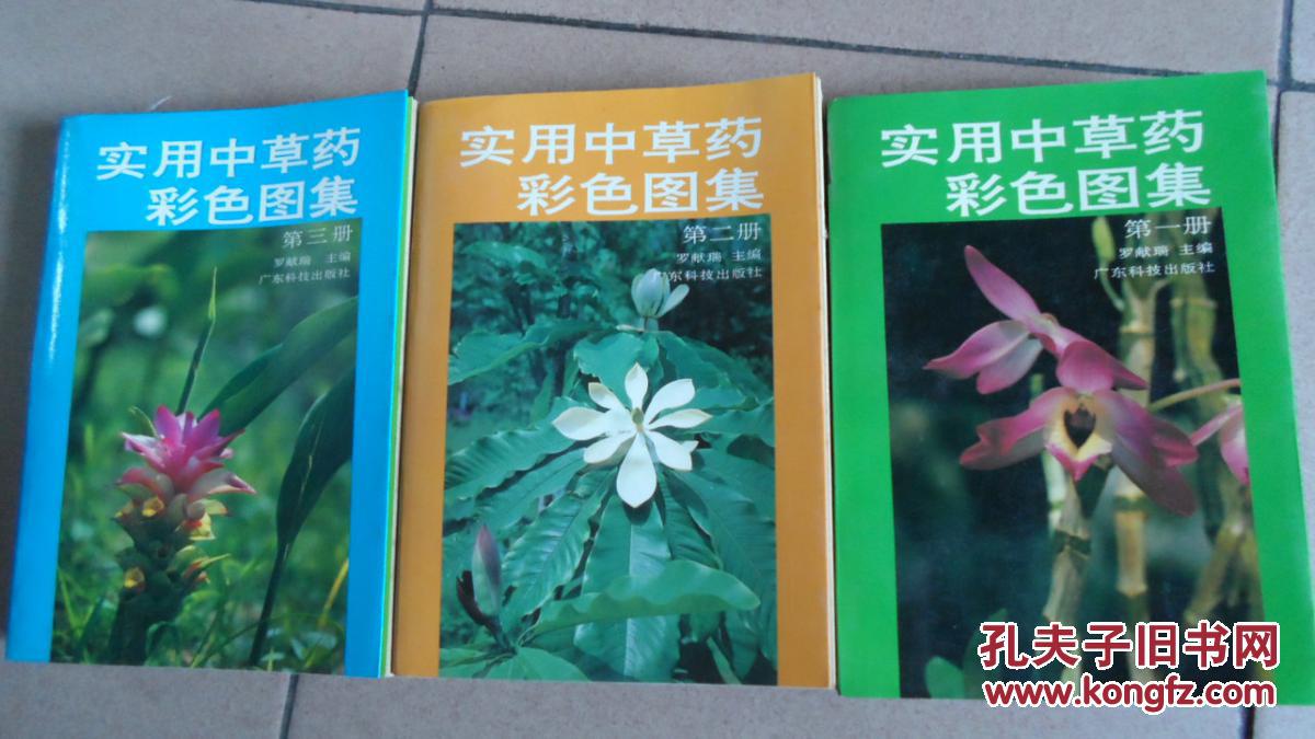 实用中草药彩色图集