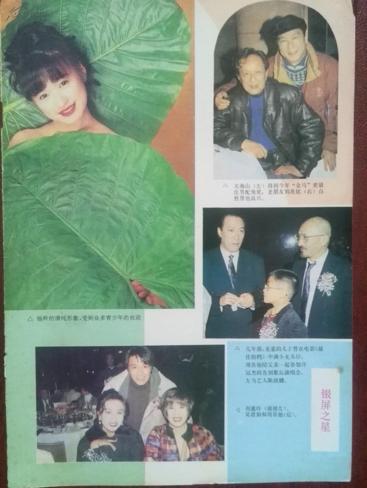 明星封页:杨羚,刘嘉玲,吴君如,周星驰,关海山,麦嘉