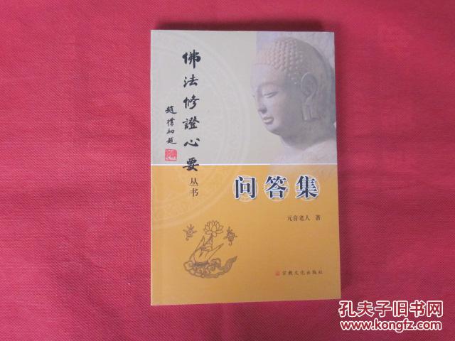 佛法修证心要丛书 问答集
