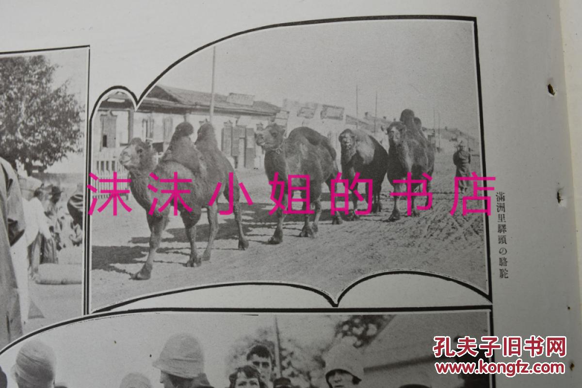 俄支乡人口_人口普查(3)
