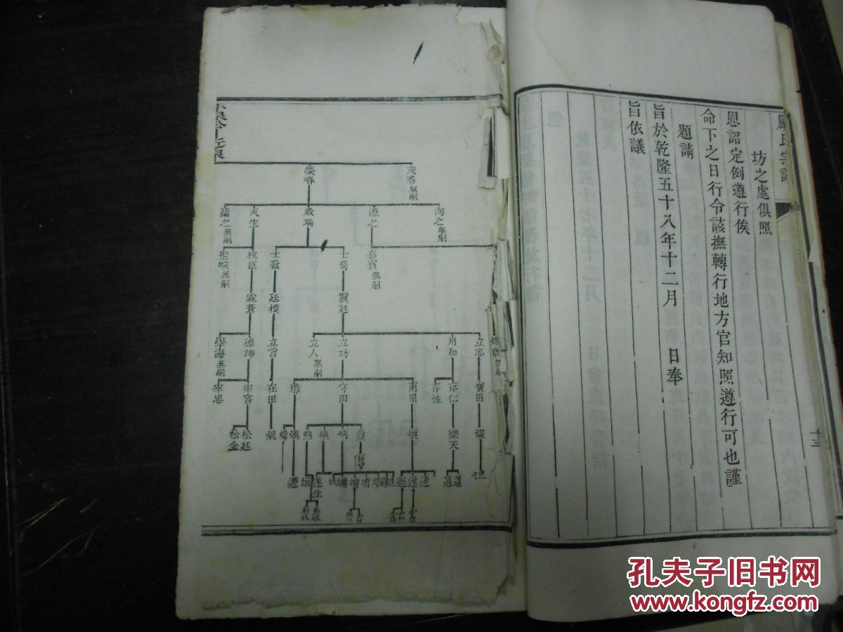孔网首现清嘉庆名人家谱《严氏宗谱>一厚册全