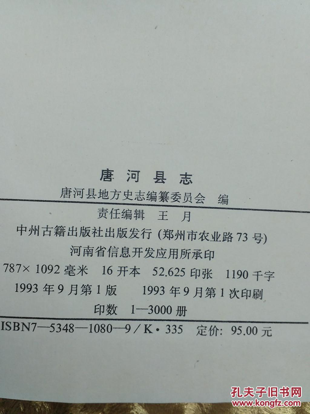 唐河县志