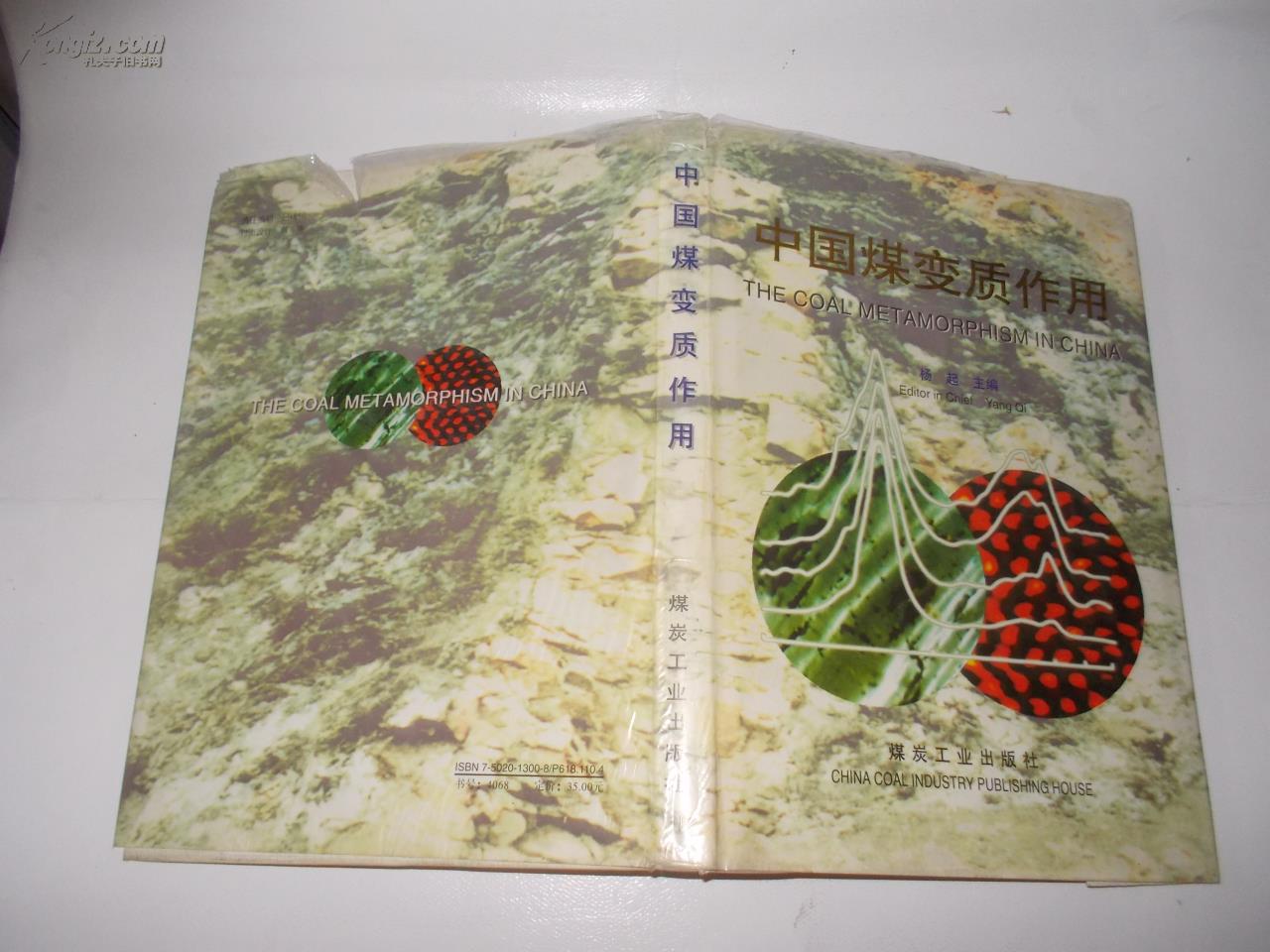 中国煤变质作用 精装