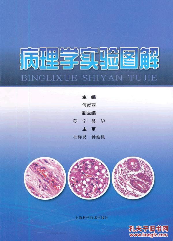 病理学实验图解