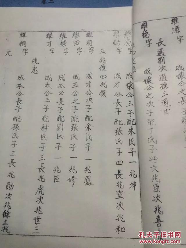 王氏族谱(全四卷),影印本