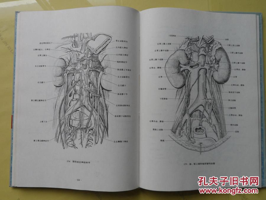 16开精装《实用局部解剖学图谱》