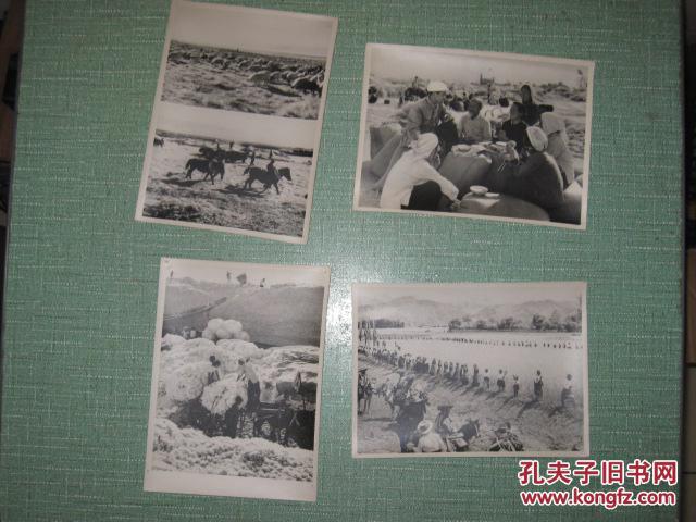 大跃进三面红旗景点照片 新华社新闻展览照片 《高举红旗奏凯歌》8寸