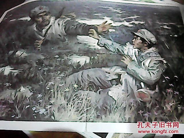 草地夜行.教学挂图1张 2开