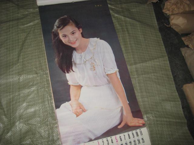 明星挂历 【10张 吴玉芳 董智芝 宋忆宁 乐韵 朱碧云 金莉莉 刘继红