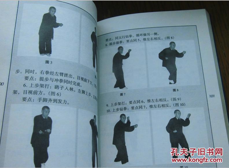 形意拳真传图谱