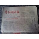 老报纸 湛江科技报1990年11月（总141）