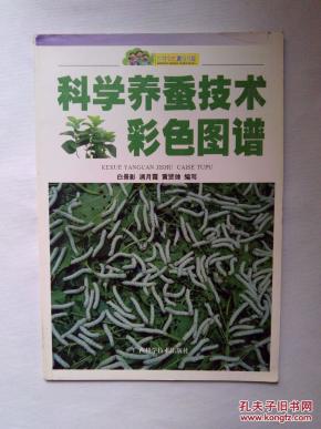 视频养蚕科学课篮球图片