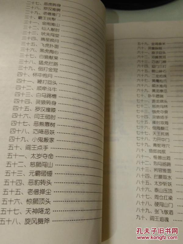 正版原版 迷踪拳技击绝技108招 李玉川 2007年 174页 9品 燕青拳