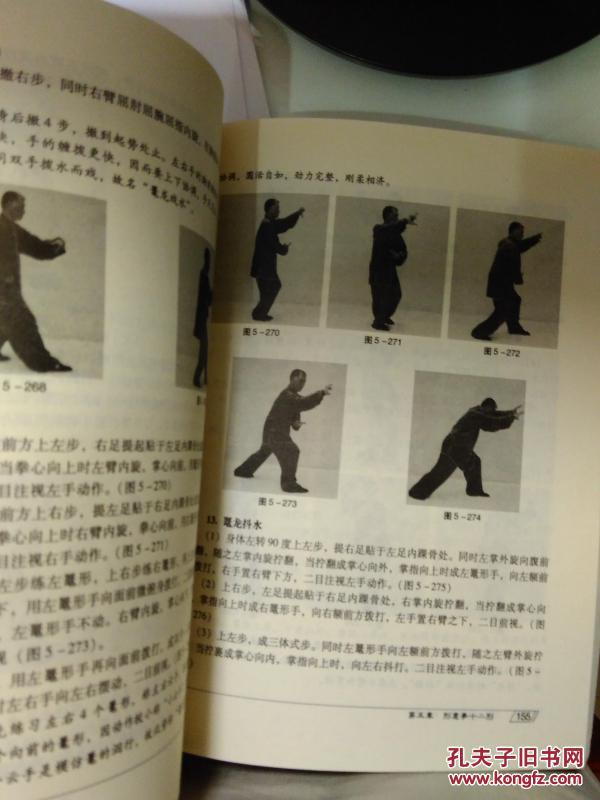 正版原版形意拳十二形精典套路刘敬儒2010年291页9品