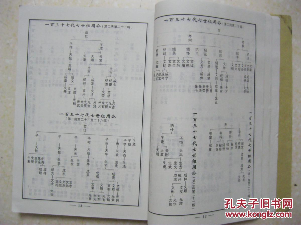周氏家谱(下册.