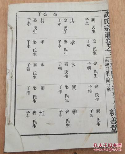 武氏宗谱 卷之三 南城门第东海世家 (积善堂)