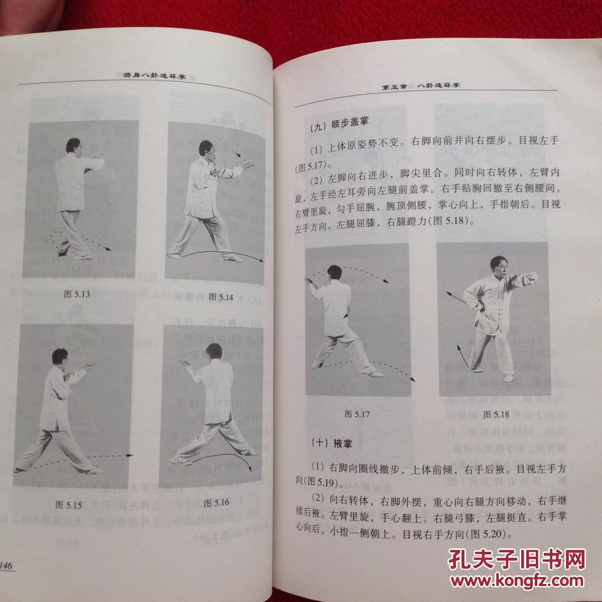 游身八卦连环掌(当代八卦掌宗师 孙志君先生著作)处理价【正版原版 一