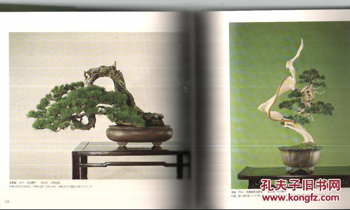 第51回 国风盆栽展图录 全新品,杭州现货 211个盆栽作品 盆栽玩家必藏