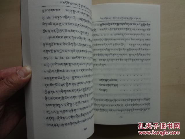 藏语安多方言语音研究(藏文)
