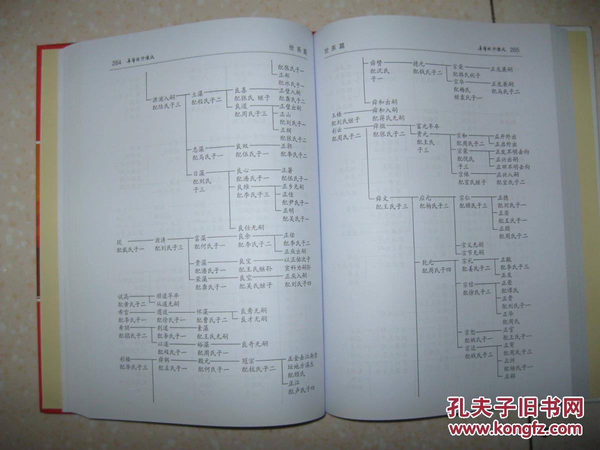 【图】阜宁北沙陈氏宗谱(上下册全,江苏滨海、