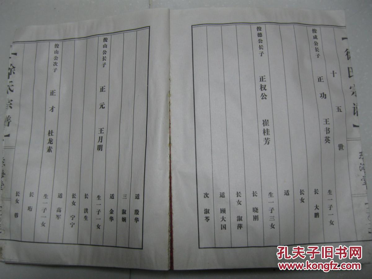 徐氏宗谱(江苏省盐城市建湖县庆丰镇高丰村一带.东海堂.