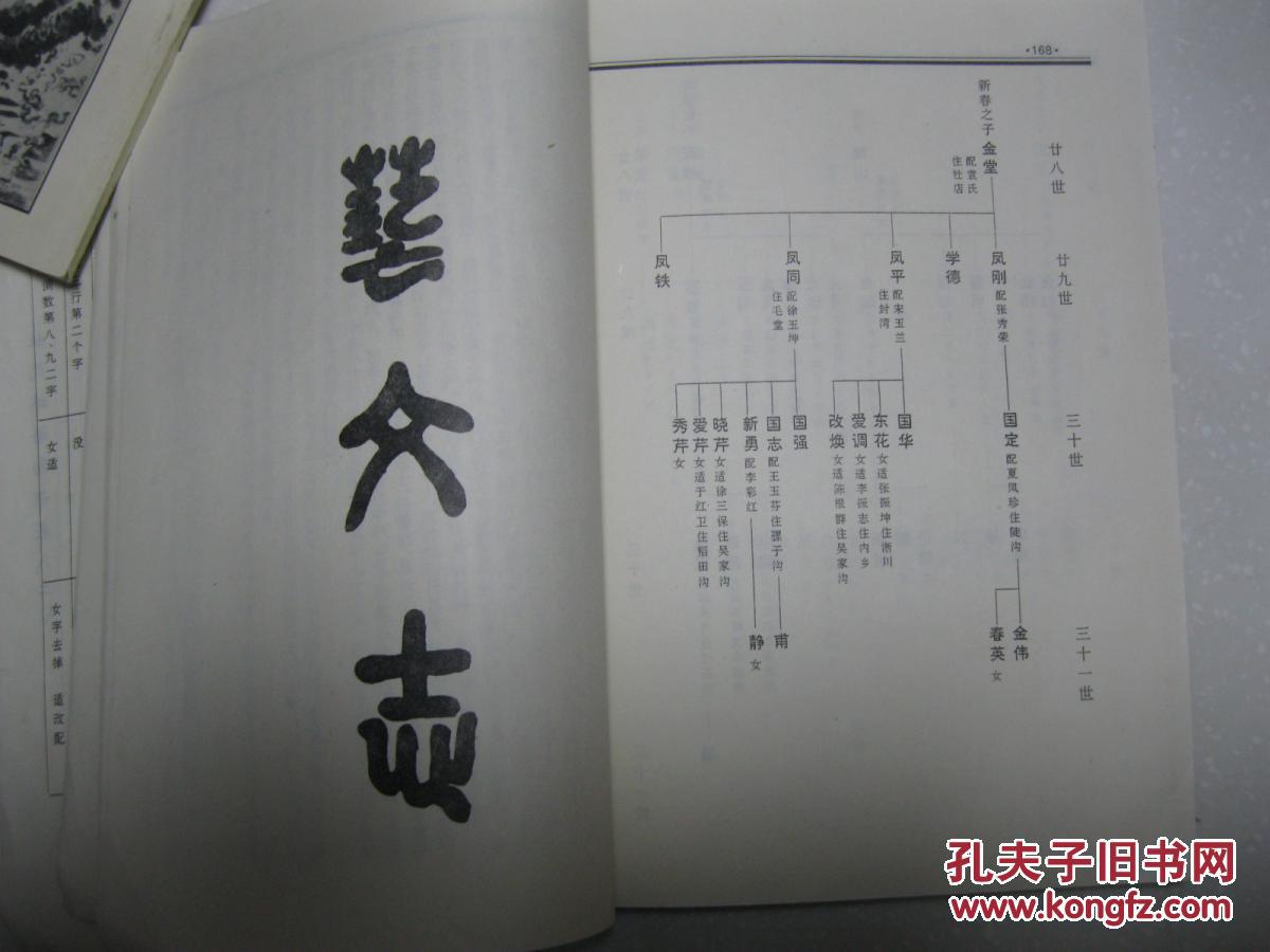 世系图包括:大禹至袭阳公;春至羽辉;景至荣国;田关杜营支系;西岳庙沟