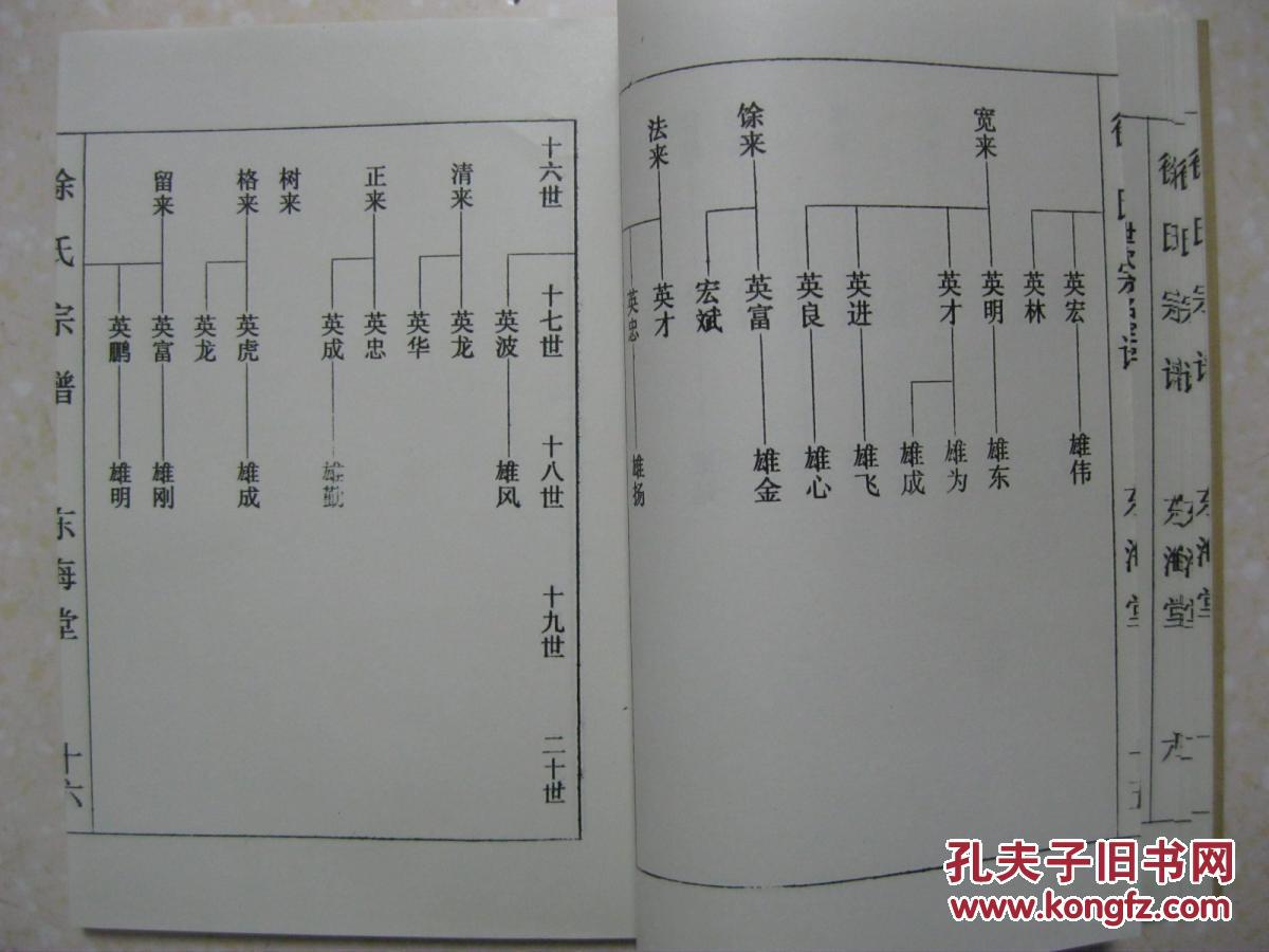 徐氏宗谱(新兴西门支谱,盐城东门,东海堂.